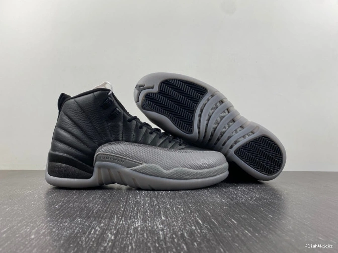 Grey 12 Black Air Wolf CT8013-019 Jordan 1123